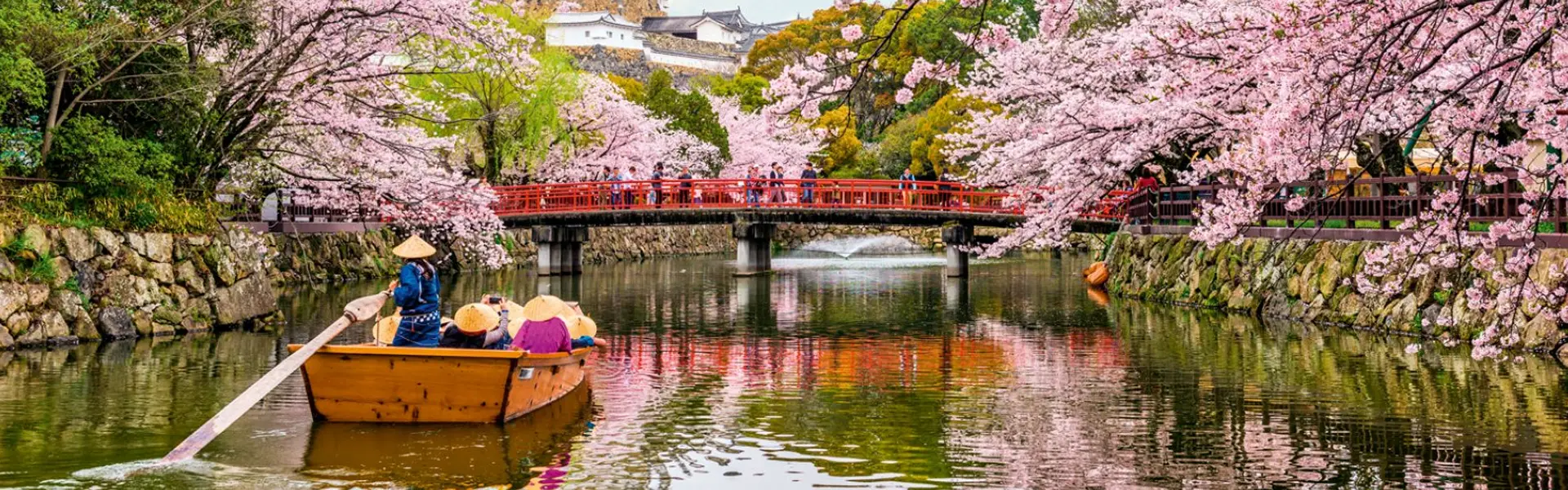 Japan, Korea and China Promotion