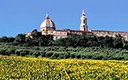 Ancona