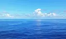 Ocean Cruises