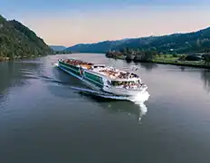 Images of Ms Amadeus Riva