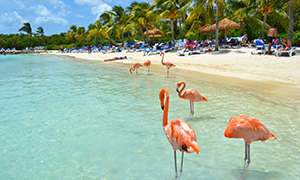 excursions Netherlands Antilles