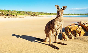excursions Australia