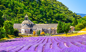 excursions France